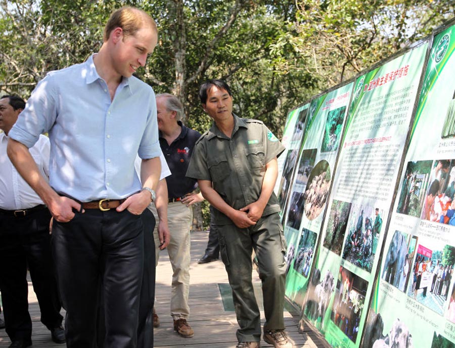 Prince William visits Asian elephant park