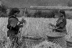 Historical photos of 56 ethnic groups in China