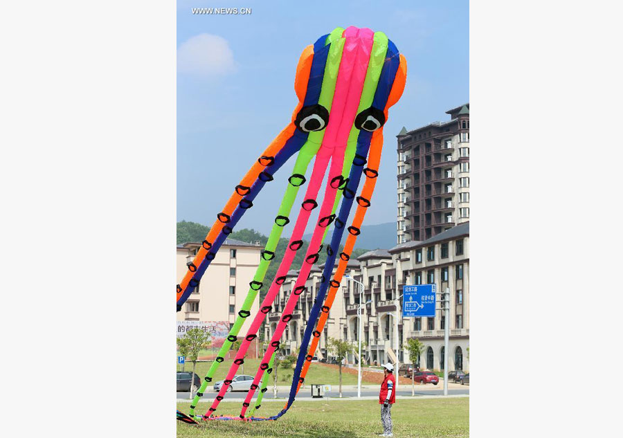 Kite festival kicks off in China's Nanchang