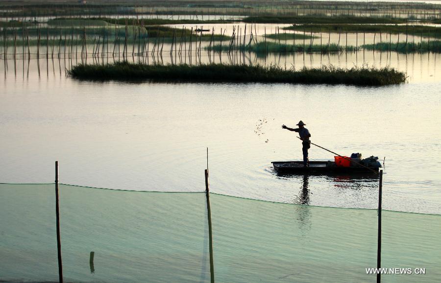 Days of fisherman's life