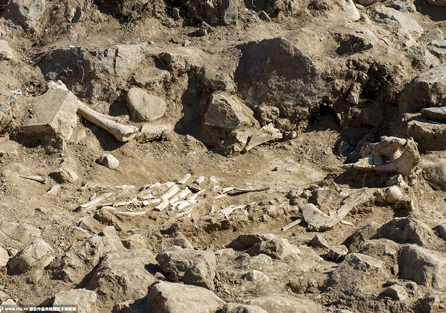 2000-year-old tomb complex being excavated in Xinjiang