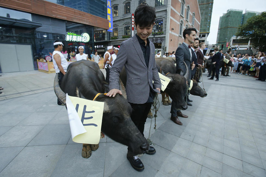 10 foreigners celebrate Chinese Valentine's Day with oxen in Wuhan