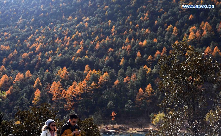 Charming scenery of Yulong Snow Mountain in winter