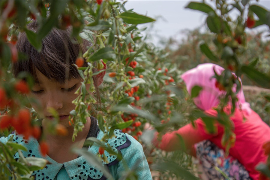 'Road to the Homeland' folk photography exhibition on display