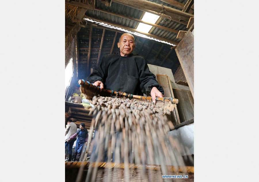 Traditional way of making tea oil preserved in S China