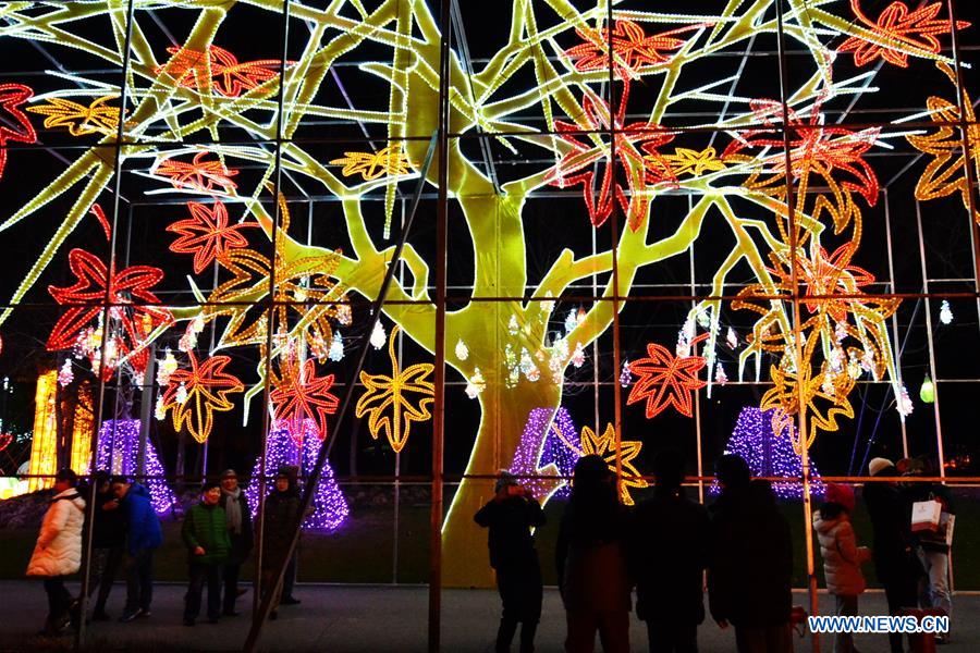 Lantern carnival held at Shanghai Expo Park, E China