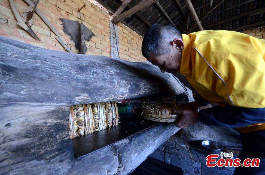 Century-old mill yields camellia oil the old-fashioned way