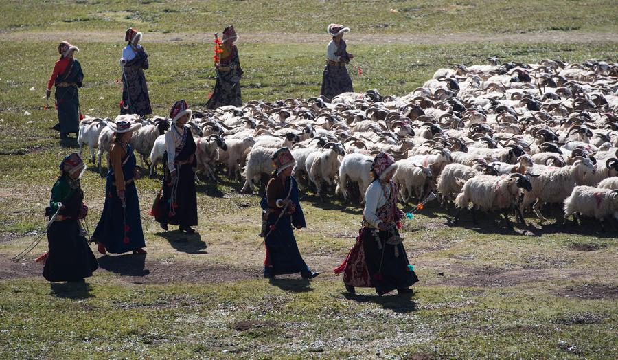 Tent festival kicks off in Shiqu, Sichuan province