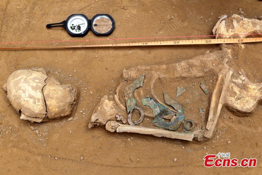 Archaeologists unearth Eastern Zhou Dynasty tombs