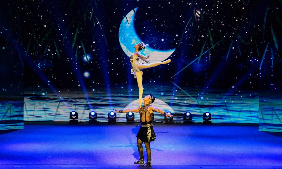 Chinese acrobats perform at China-South Africa gala