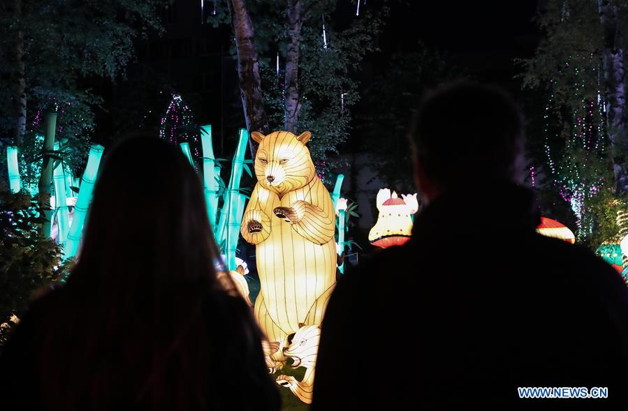 Foreigners experience Chinese culture during lantern festival in Hamburg