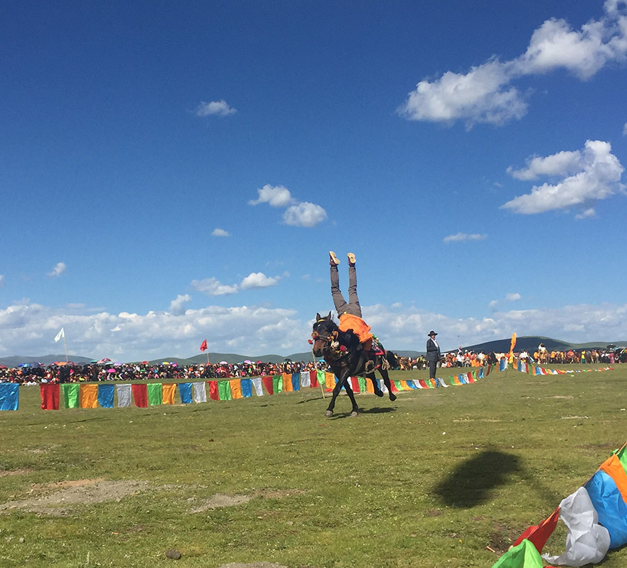 Horse riders impress audience at equestrian festival