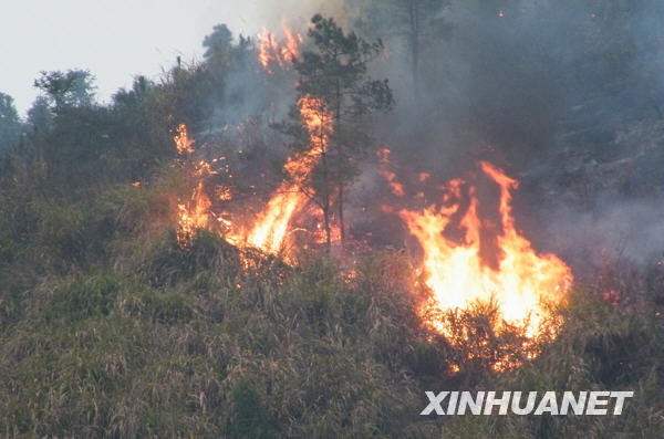 湖南省湘鄉(xiāng)發(fā)生森林大火 百畝森林被燒[圖]