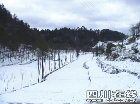 雷電雨雪“四重天” 廣元4月飄起大雪