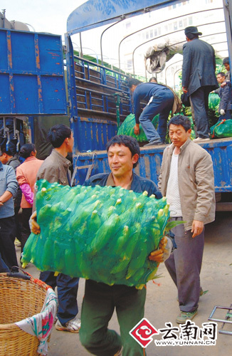 保障蔬菜供應(yīng) 持特別通行證貨車全天都可入城