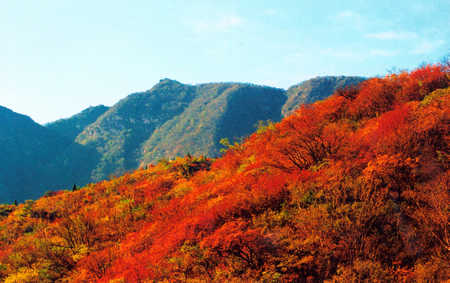 少林功夫甲天下 嵩山紅葉醉迷人