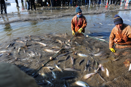 冰湖騰魚：盤錦市冬捕文化節(jié)開幕