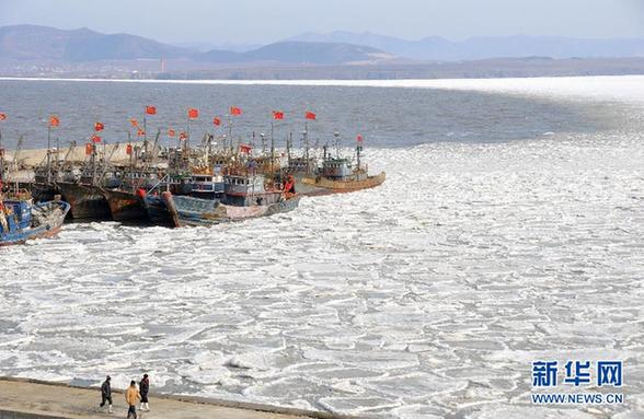 大連海域海冰融化 大量浮冰涌到岸邊