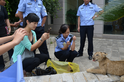 挽留熊貓公益行獲森警支持 云南野生動物園透露將如何“挽留熊貓”