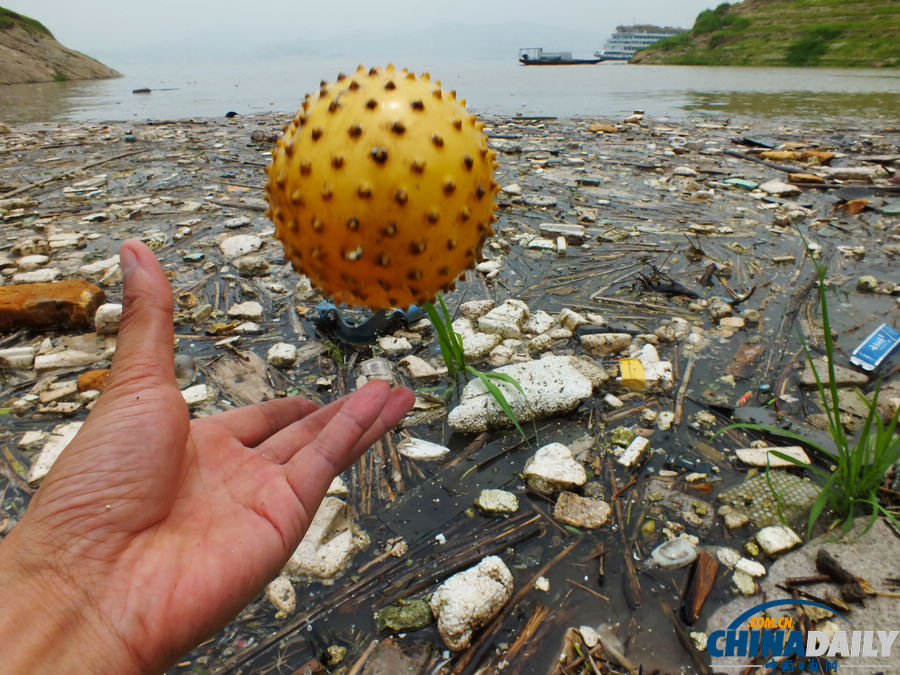 湖北宜昌：三峽水庫(kù)又現(xiàn)漂浮垃圾帶