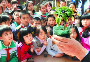 小學(xué)生比賽種植太空植物