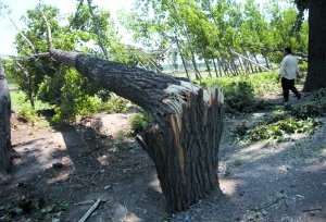 北京連遭1055次雷電侵襲 擊中三人兩死一傷