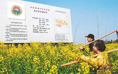 國土資源部部長：正視我國土地問題的三個“難以為繼”