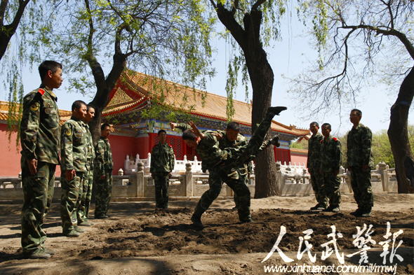 獨(dú)家揭秘:守護(hù)國(guó)寶的紫禁城