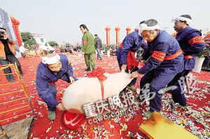 新年將至 活土豬一頭跌了幾百元 今年你去殺年豬嗎？