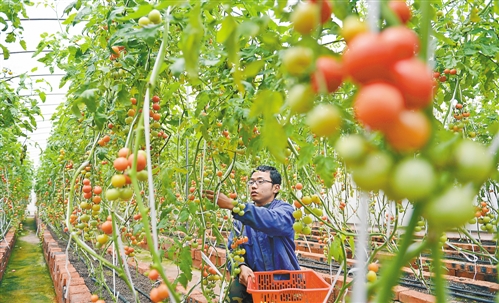 新常態(tài)下，尋求農(nóng)業(yè)發(fā)展方式新轉變