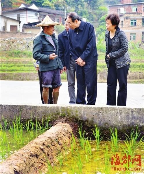 福建省委書記尤權(quán)問(wèn)春耕 老農(nóng)：“這人挺內(nèi)行”