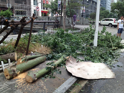 臺風(fēng)“潭美”在福清沿海登陸