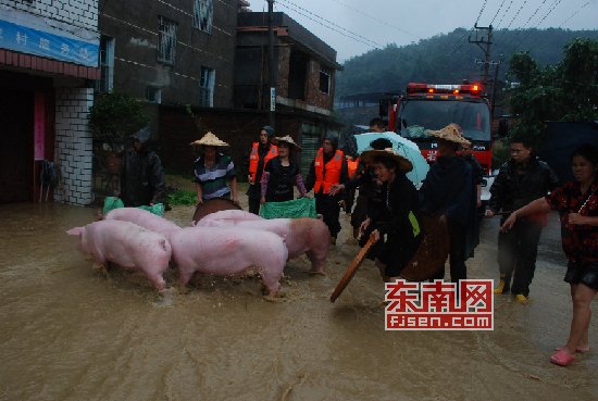 “天兔”發(fā)威多地被淹 消防員臉盆當(dāng)船救出嬰兒