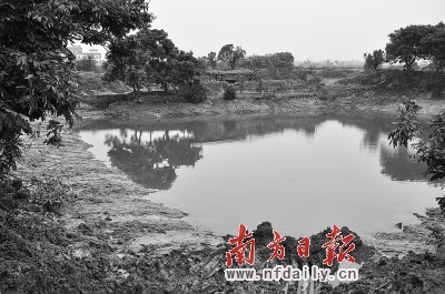 非法磚廠蠶食農(nóng)田十余年 國土局稱沒舉報不知情