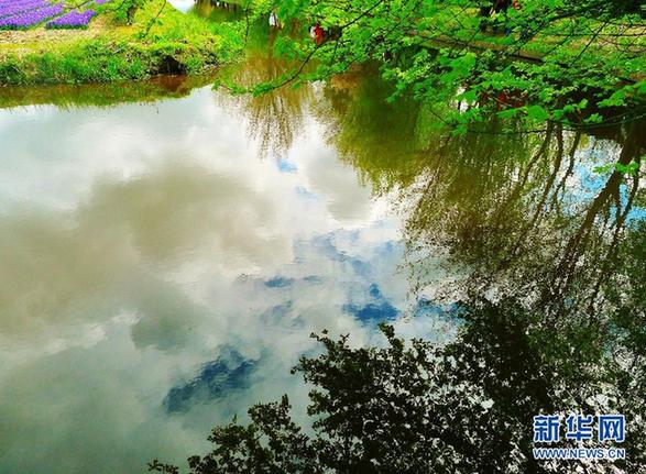 世界上最美麗的春季花園——荷蘭庫(kù)肯霍夫公園