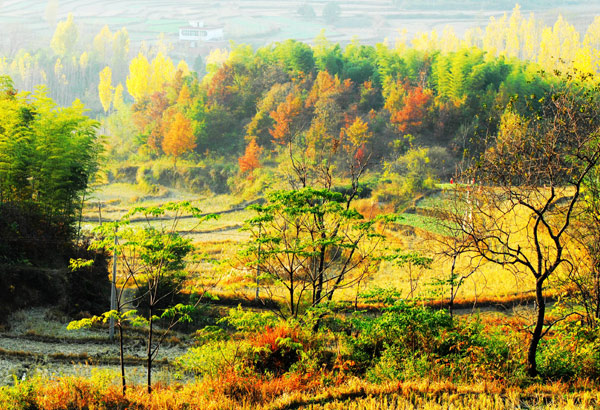 河南固始西九華山冬景如畫 （組圖）