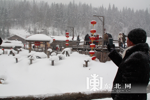 百家旅行社和旅游電商體驗(yàn)龍江冰雪游 為冰雪之冠“點(diǎn)贊”