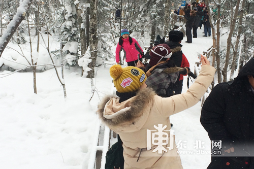 百家旅行社和旅游電商體驗(yàn)龍江冰雪游 為冰雪之冠“點(diǎn)贊”