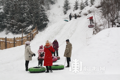 百家旅行社和旅游電商體驗(yàn)龍江冰雪游 為冰雪之冠“點(diǎn)贊”