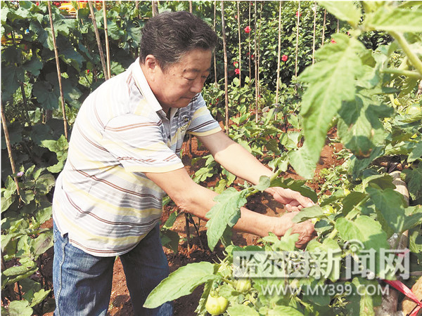 哈爾濱七旬老夫妻定制百萬房車 浪漫攜手游遍半個中國