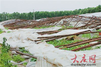 黑龍江肇源遭大風(fēng)襲擊風(fēng)力超10級(jí) 損失超千萬元