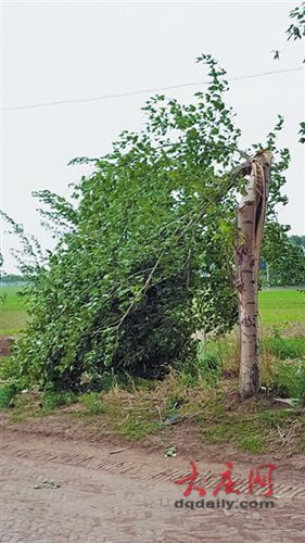 黑龍江肇源遭大風襲擊風力超10級 損失超千萬元