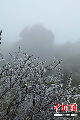 湖北神農(nóng)架因持續(xù)降溫出現(xiàn)冰凌景象