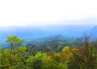 山村春景入畫來（組圖）