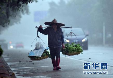 菜價(jià)如何不再暴漲暴跌？ 菜農(nóng)的弱勢地位需正視