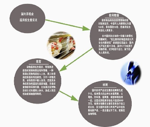 麥當(dāng)勞承認(rèn)采購(gòu)六和雞 食藥監(jiān)局將追查問(wèn)責(zé)瞞報(bào)