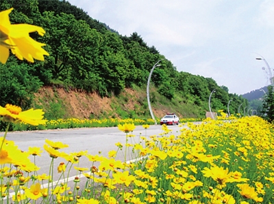 集安境內(nèi)集錫公路兩側(cè)風(fēng)景亮麗