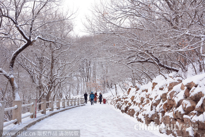 吉林迎來(lái)2015年首場(chǎng)大雪 氣象臺(tái)發(fā)布道路冰雪預(yù)警