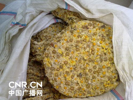 菊花之鄉(xiāng)陷硫磺疑云 每年200噸硫磺菊入市