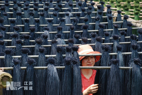 藺草飄香 出口創(chuàng)收